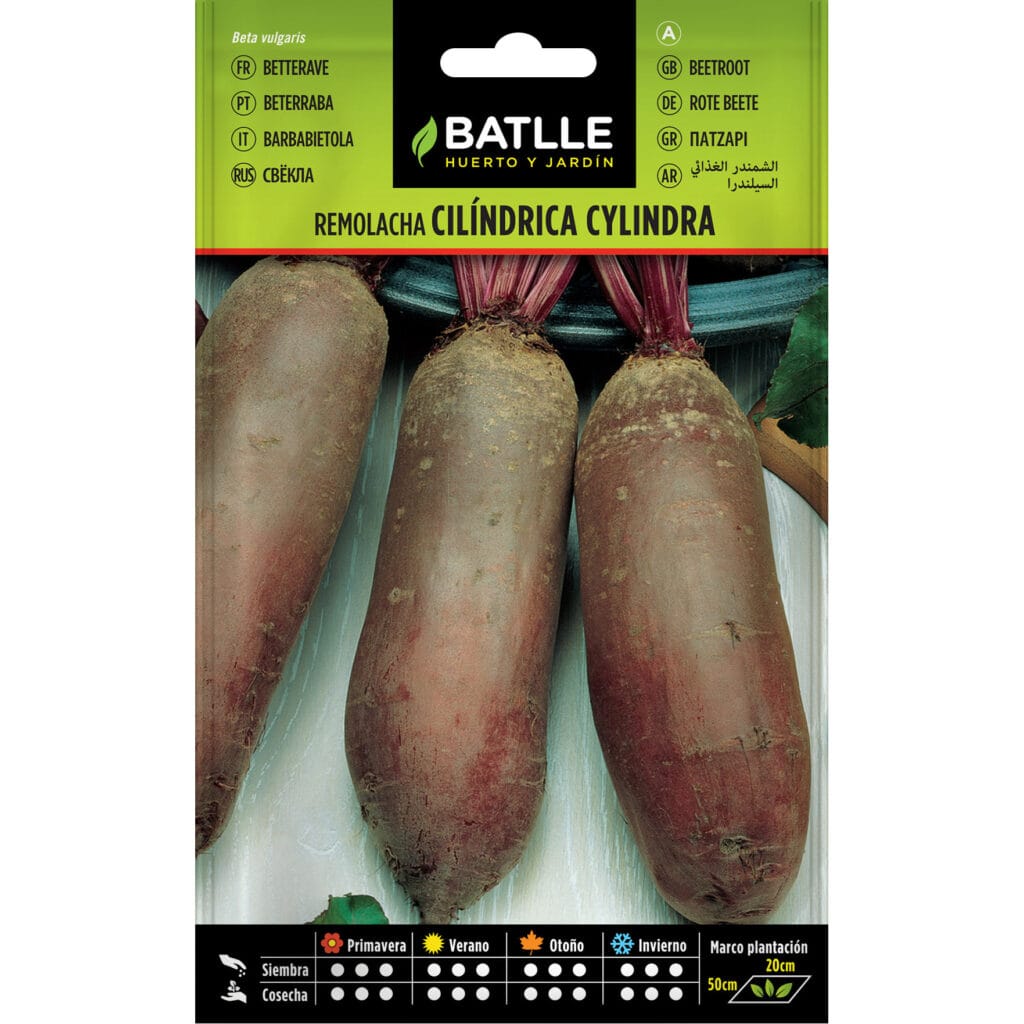 015303bols remolacha mesa cylindra