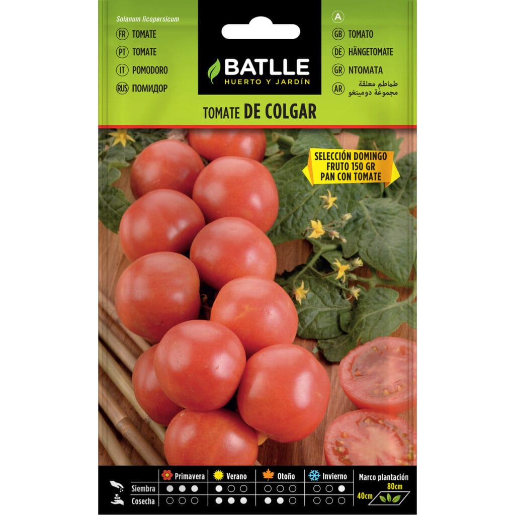 015931bols tomate colgar seleccion domingo