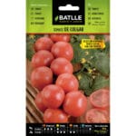 TOMATE COLGAR SELEC. DOMINGO