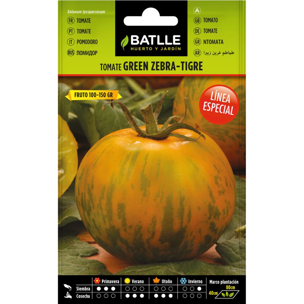015953bols tomate green zebra tigre 1