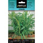 ESTRAGON - ARTEMISA DRACUNCULUS