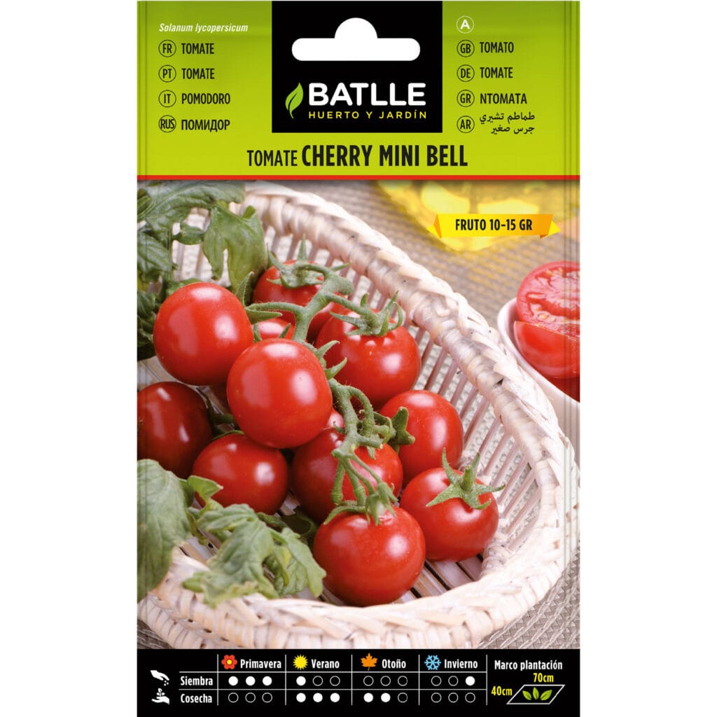 097315bols tomate cherry 1
