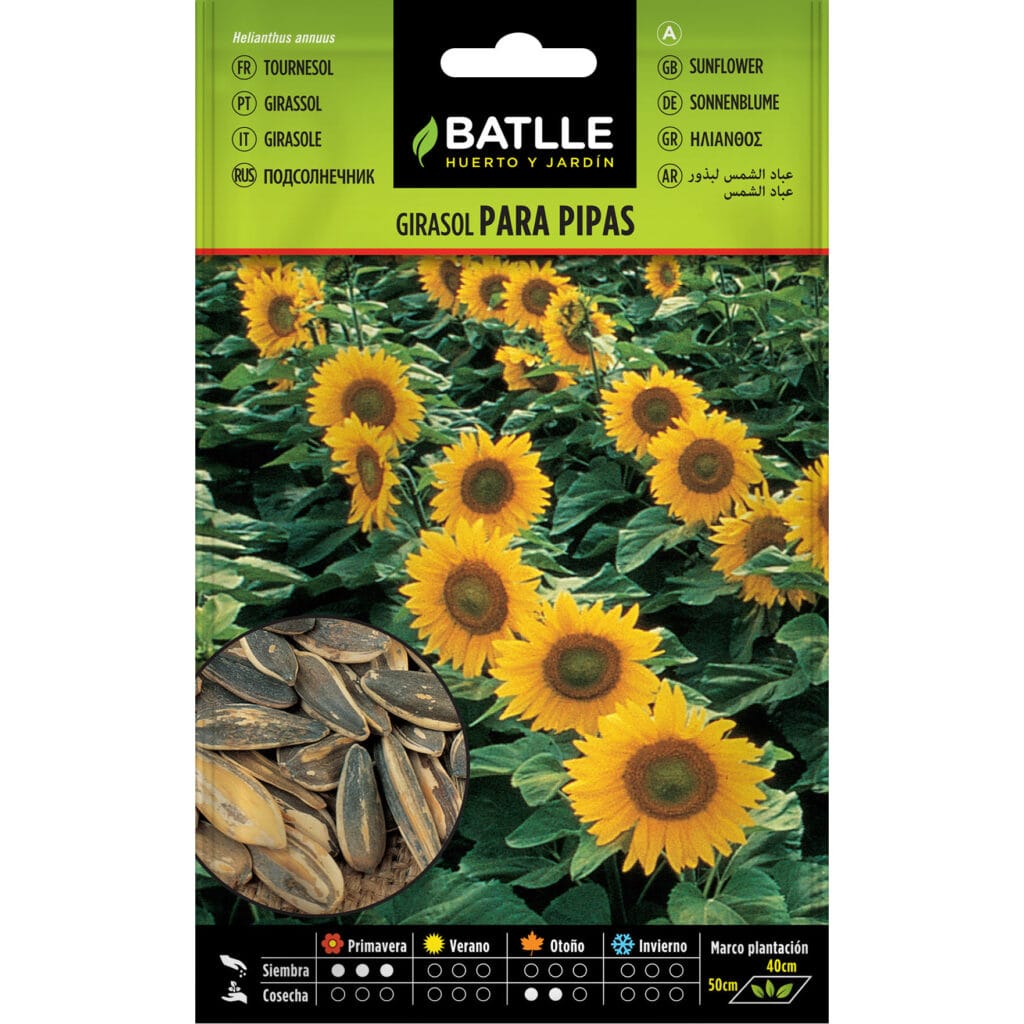 097337bols girasol para pipas