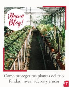 583923824 1450430747091022 7473692886744522226 n