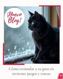 611600893 1494866592647437 7079333037642731203 n