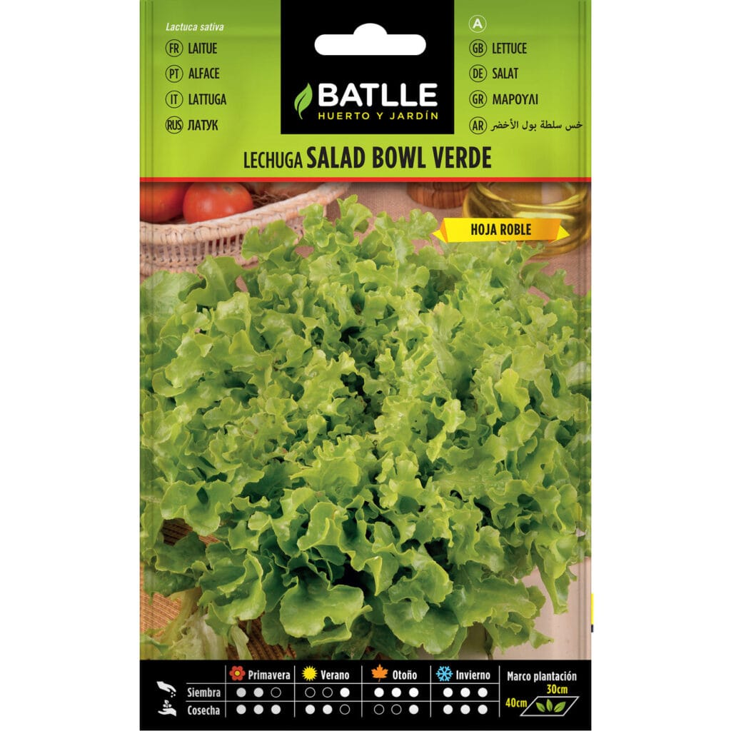 LECHUGA SALAD BOWL VERDE