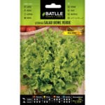 LECHUGA SALAD BOWL VERDE