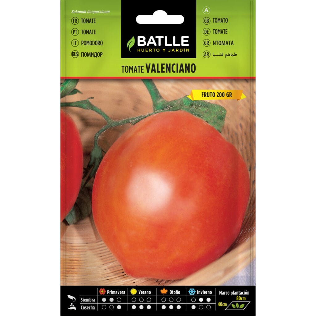 tomate valenciano