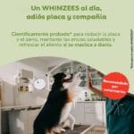 WHIZEES TOOTHBRUSH S 10 PIEZAS - Imagen 4