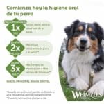 WHIZEES TOOTHBRUSH S 10 PIEZAS - Imagen 6