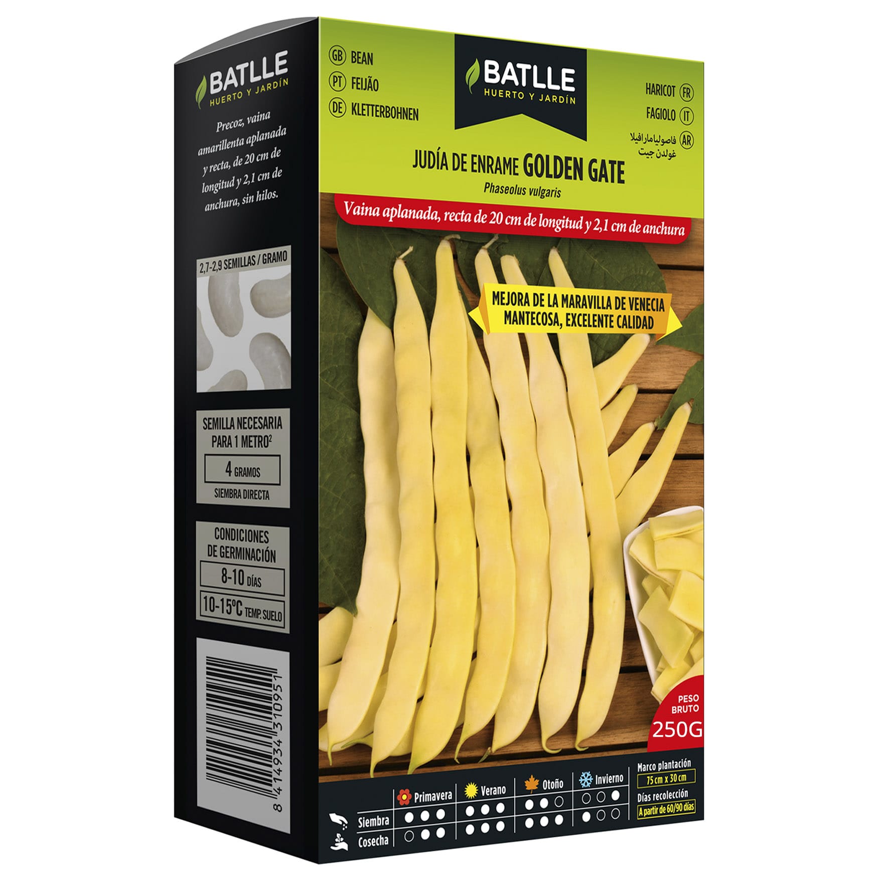 Judía de Enrame Golden Gate JUDIA MARAVILLA GOLDEN GATE 250 - Imagen 1