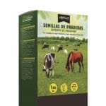 ALFALFA ARAGON R2 1 KG