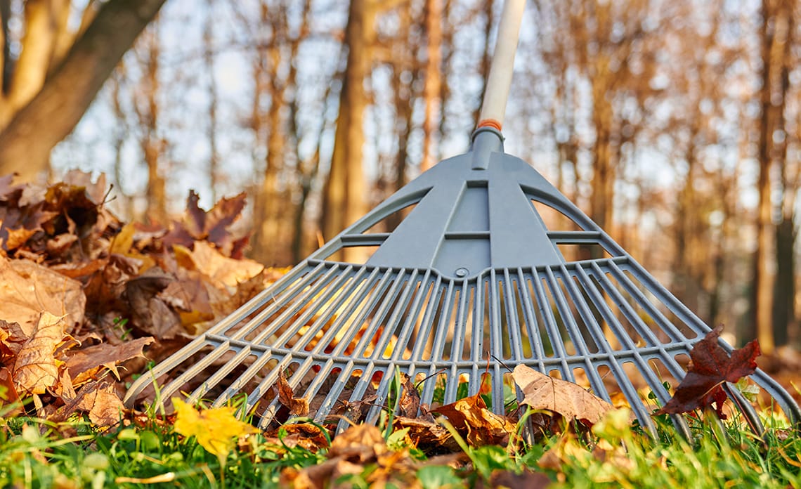 blog limpiar hojas otono