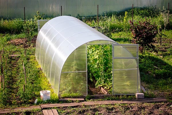 invernadero prefabricado huerto