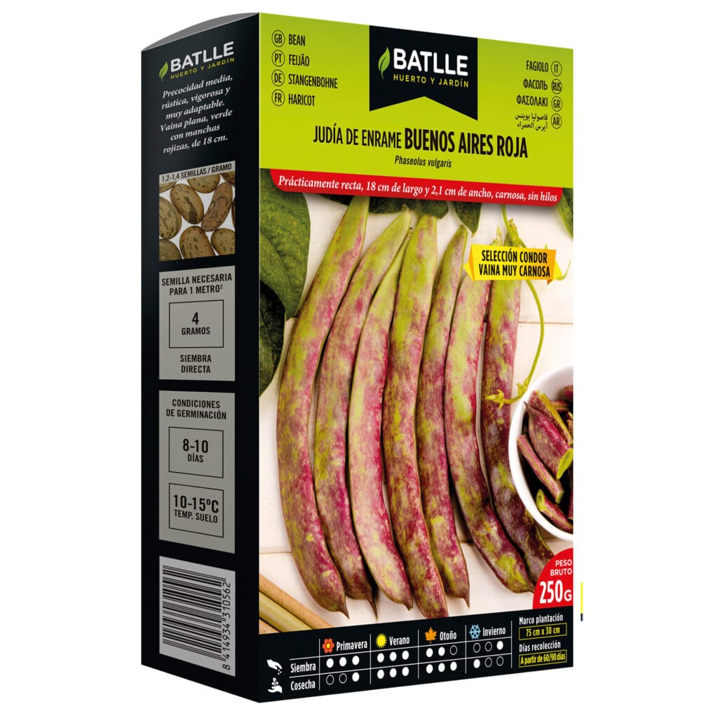 judia buenos aires roja