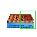 SETA AUTORIEGO ROJO 6X5X13 CM