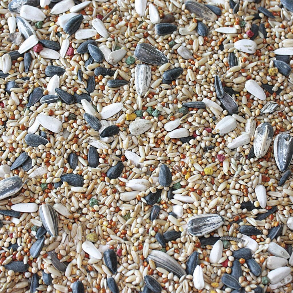 vitp135 alimento para cotorras vit pro en bolsa 5 kg detalle 4430