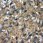 COTORRAS VIT PRO 5 KG. - Imagen 2