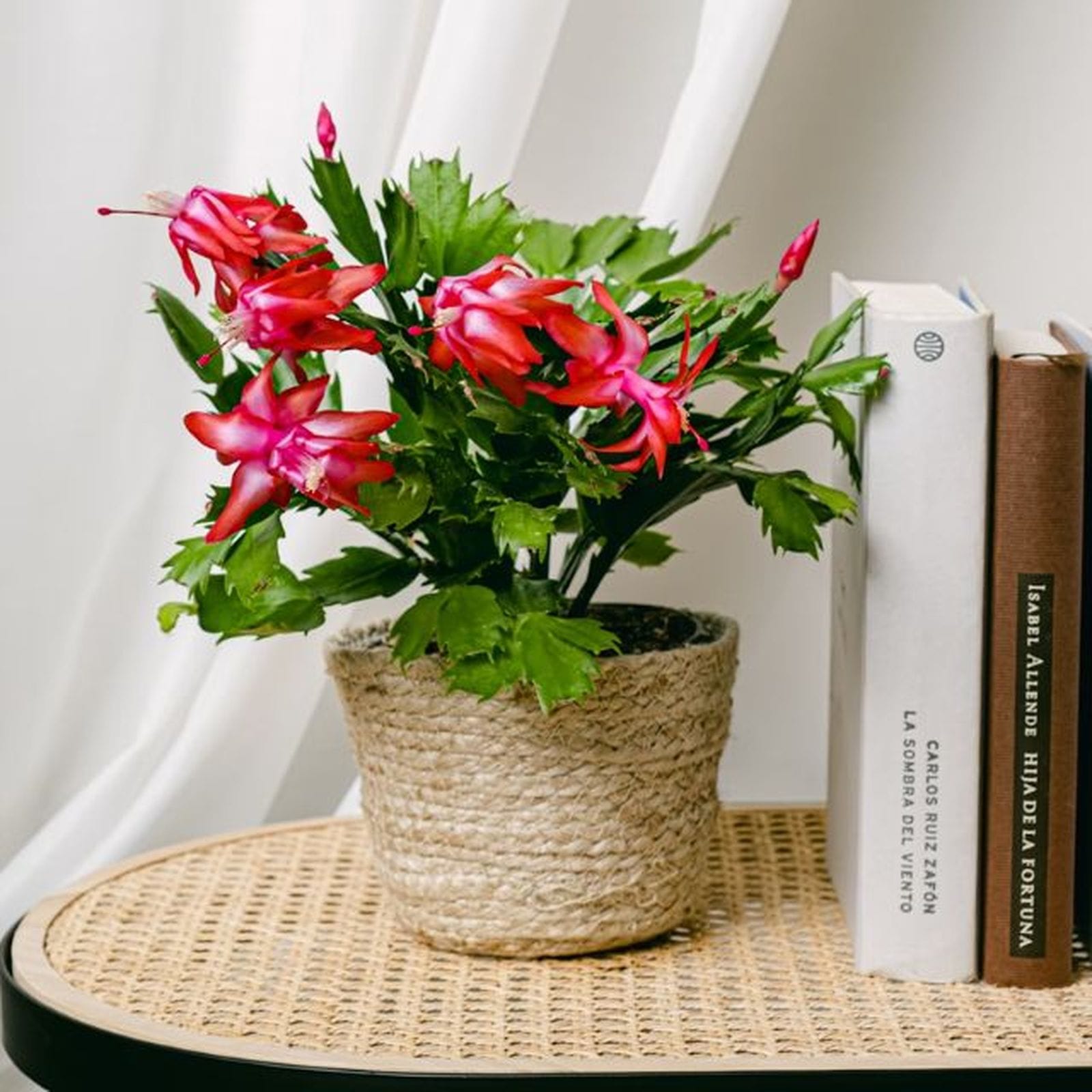 27eae221 0033 44d2 b64c feecf0b083d4 source aspect ratio 1600w 0