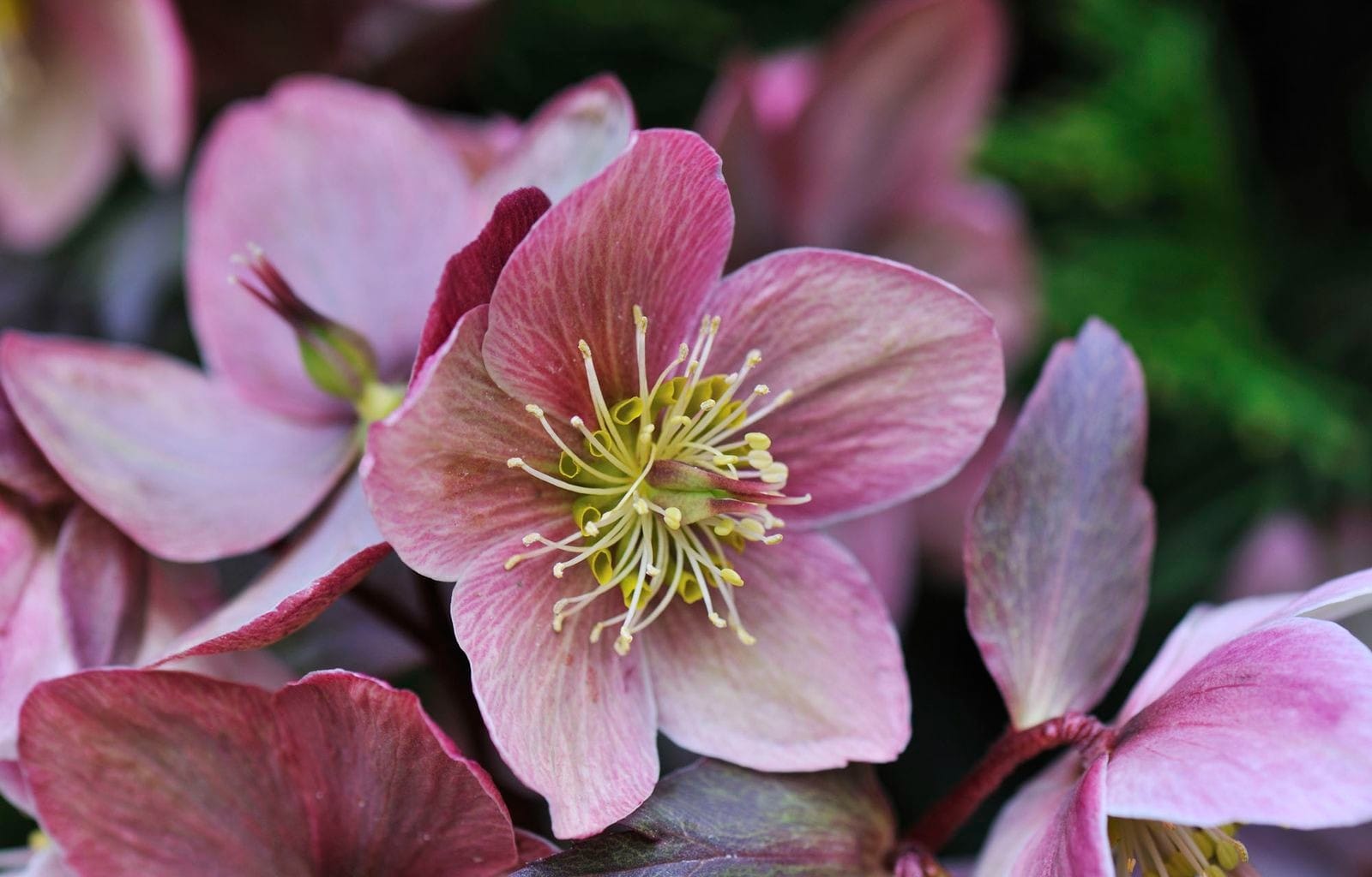 8f95d896 b722 4dfe 972a 21dbd015