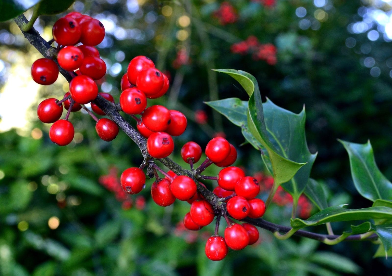 c470a2d7 6c84 40a8 8c6e e8482b4c