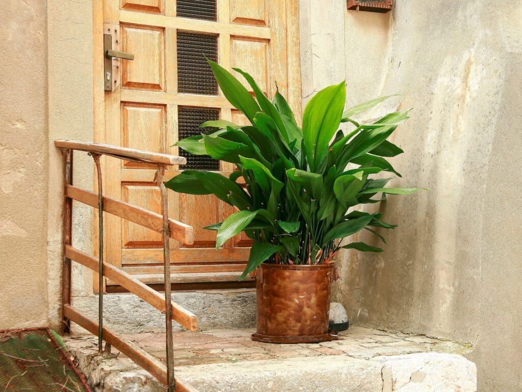 GEIK4YDPTZESFBFMYFDHAHZZCU