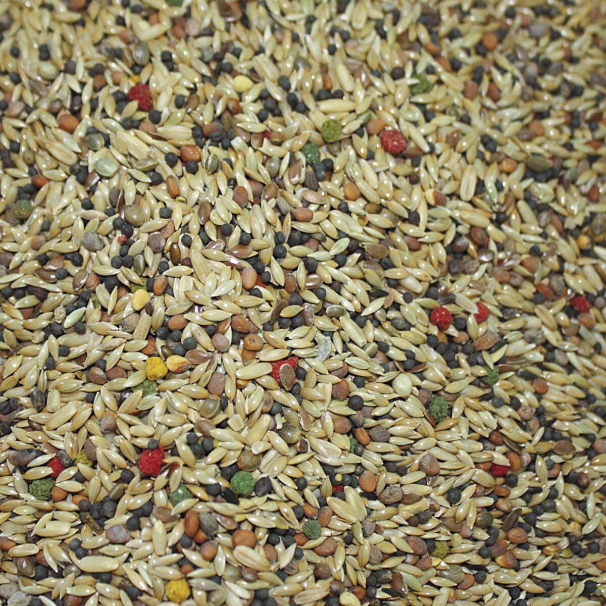 MIXTURA CANARIOS VIT PRO 1 KG - Imagen 2