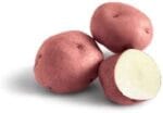 PATATA RED PONTIAC 100 BULBOS - Imagen 2