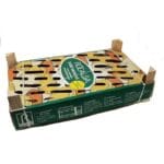 PATATA KENNEBEC 100 BULBOS - Imagen 2