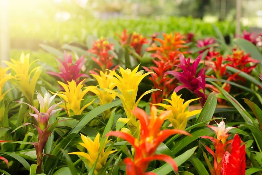 IULJ2RBY6FDLHNE5O2NL6XFGFE