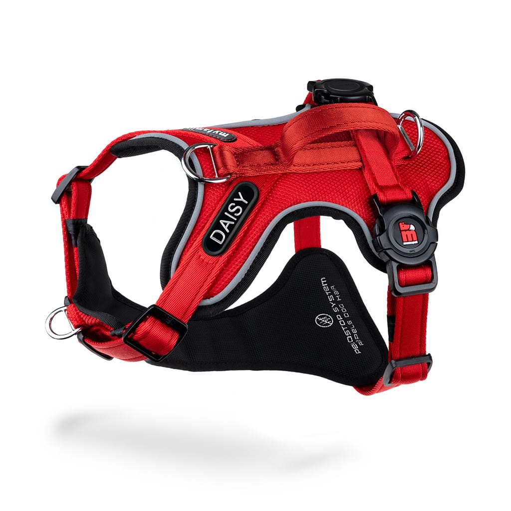 arnes-h-memopet-id-personalizable-rojo ARNES ID. ROJO T-L - Imagen 1