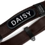 COLLAR MEMOPET ID MARRON T-S - Imagen 3