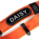 COLLAR MEMOPET ID NARANJA T-XS - Imagen 2