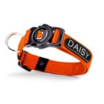 COLLAR MEMOPET ID NARANJA T-XS