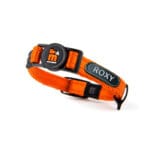 COLLAR MEMOPET GATO ID NARANJA