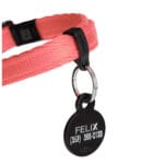 COLLAR MEMOPET GATO ID ROSA - Imagen 2