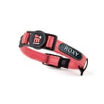 COLLAR MEMOPET GATO ID ROSA