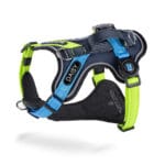 ARNES ID. NEGRO VERDE Y AZUL T-L