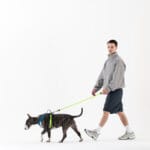 ARNES ID. MARRON T-L - Imagen 3