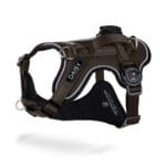 ARNES ID. MARRON T-L