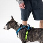 ARNES ID. MARRON T-L - Imagen 5