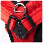 ARNES ID. ROJO T-L - Imagen 5