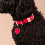 CHAPA CORAZON L ROJO - Imagen 5