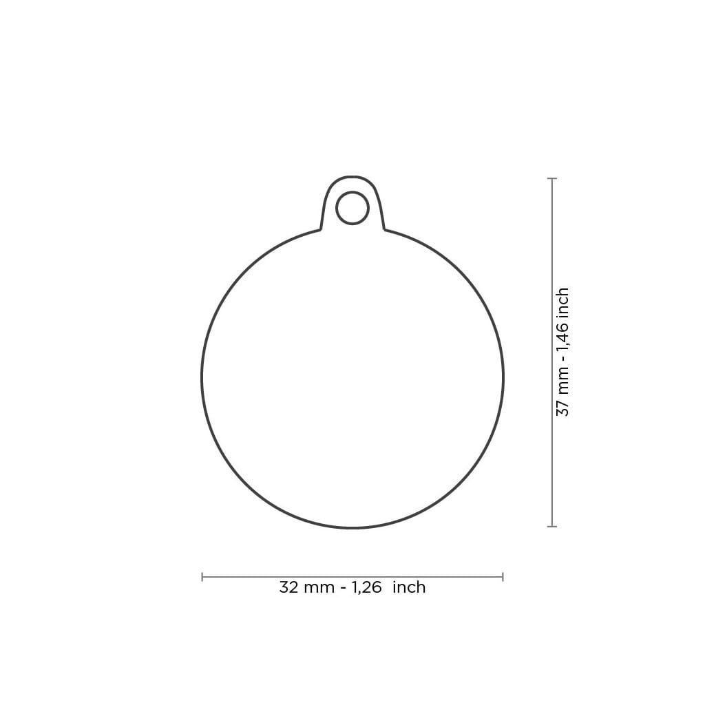 placa circulo grande the queen 1