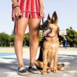 CHAPA QUEN THE QUEN CHAMRS - Imagen 5