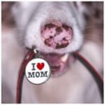CHAPA I LOVE MOM CHARMS - Imagen 3