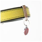 CHAPA MARIQUITA PEQUEÑA - Imagen 4