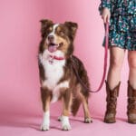 CHAPA MARIPOSA CHARMS - Imagen 4