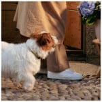 CHAPA MARGARITA GRANDE - Imagen 2