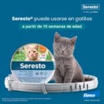 SERESTO COLLAR GATO 7-8 MESES - Imagen 3